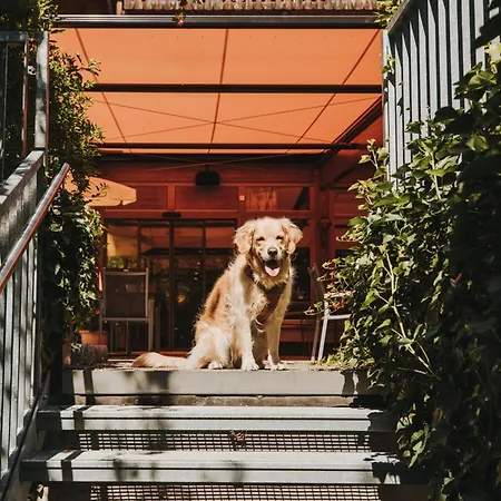 Zimba ホテル 4*
